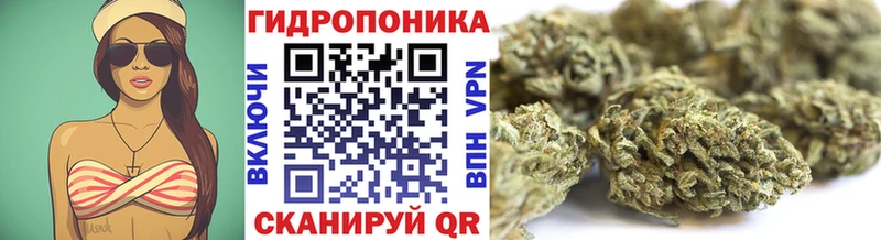 наркошоп  Зарайск  Шишки марихуана гибрид 